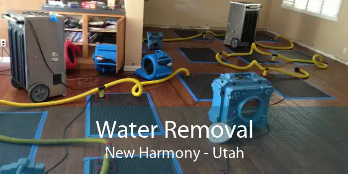 Water Removal New Harmony - Utah