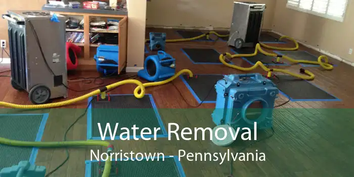 Water Removal Norristown - Pennsylvania