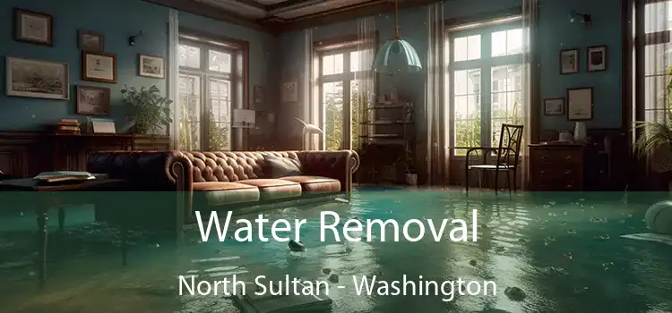 Water Removal North Sultan - Washington