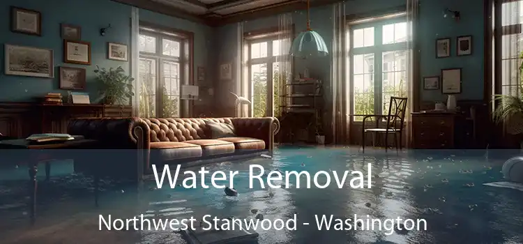 Water Removal Northwest Stanwood - Washington