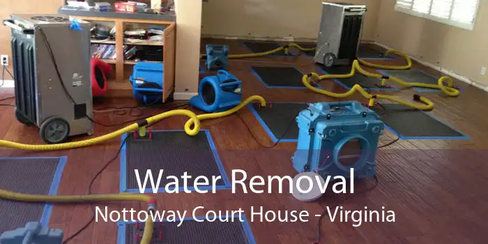 Water Removal Nottoway Court House - Virginia