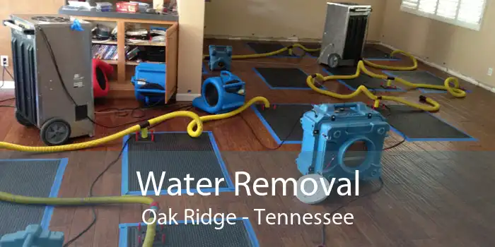 Water Removal Oak Ridge - Tennessee