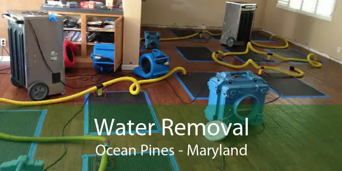 Water Removal Ocean Pines - Maryland