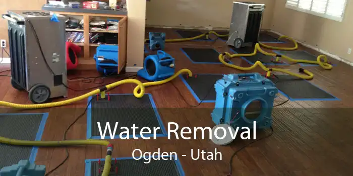 Water Removal Ogden - Utah