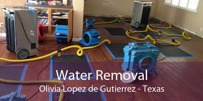 Water Removal Olivia Lopez de Gutierrez - Texas