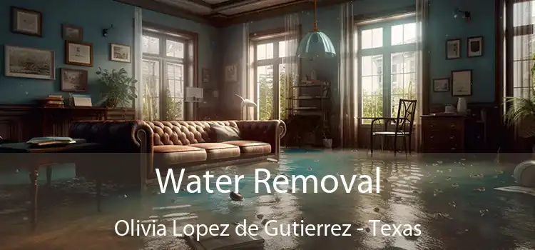 Water Removal Olivia Lopez de Gutierrez - Texas