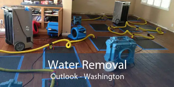 Water Removal Outlook - Washington