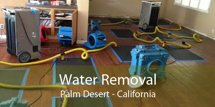 Water Removal Palm Desert - California