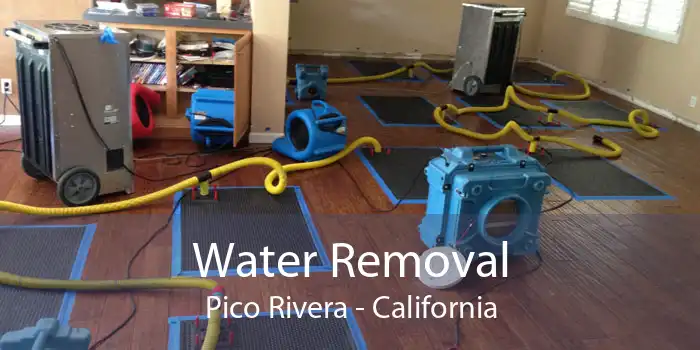Water Removal Pico Rivera - California