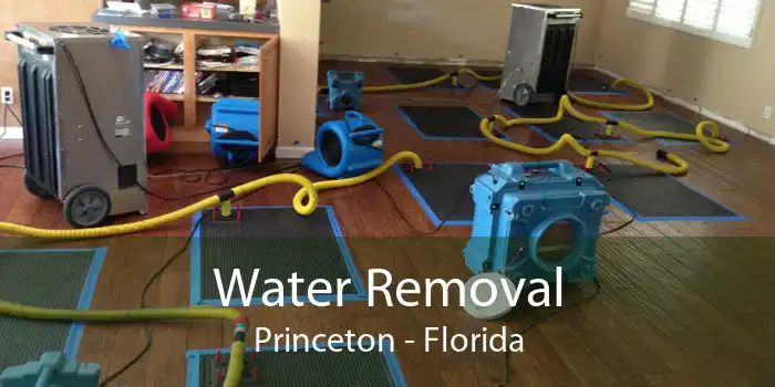 Water Removal Princeton - Florida