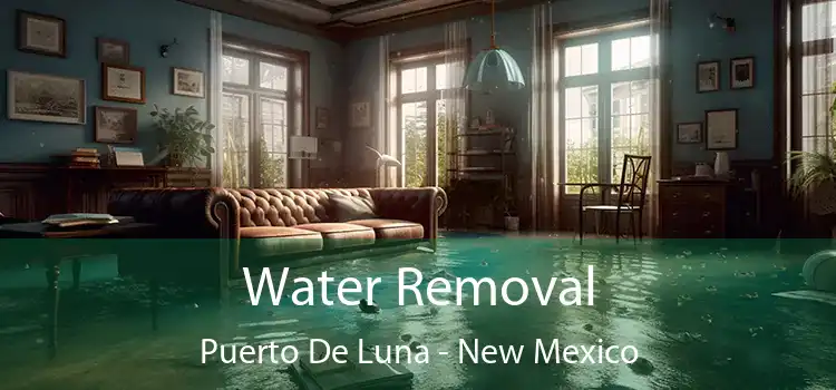 Water Removal Puerto De Luna - New Mexico