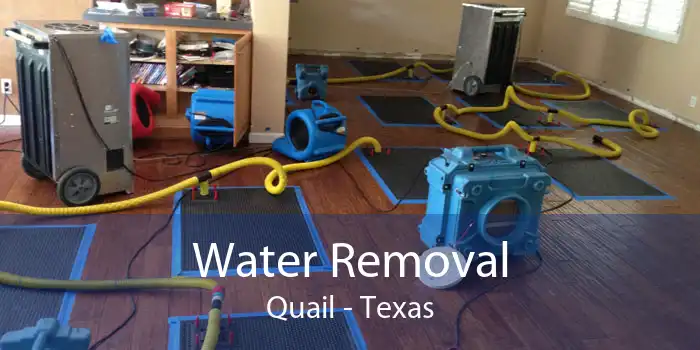 Water Removal Quail - Texas