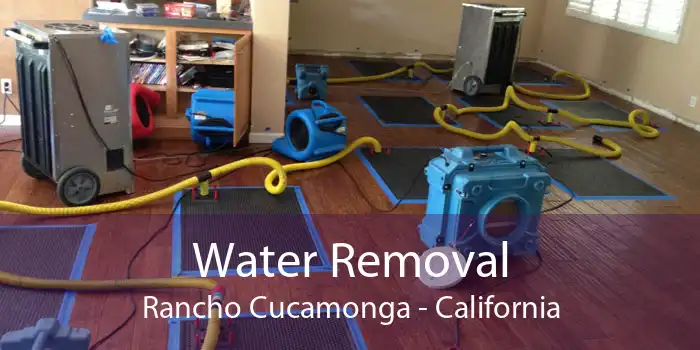 Water Removal Rancho Cucamonga - California