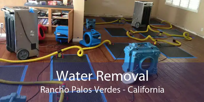 Water Removal Rancho Palos Verdes - California