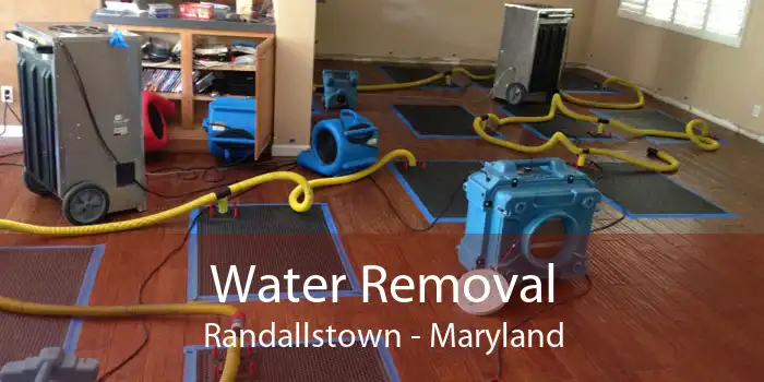 Water Removal Randallstown - Maryland