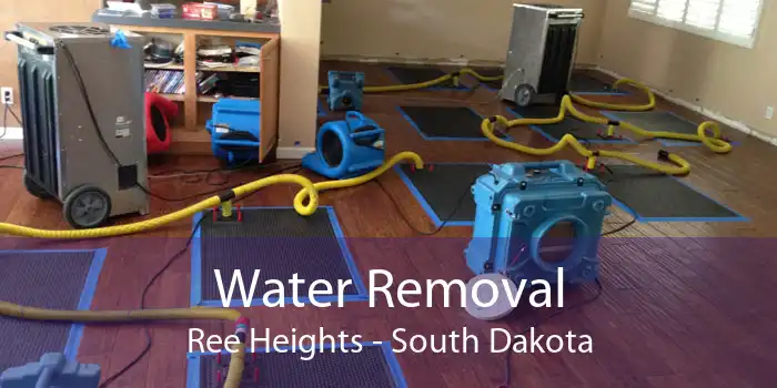 Water Removal Ree Heights - South Dakota