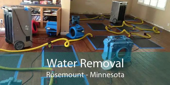 Water Removal Rosemount - Minnesota