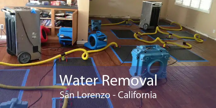 Water Removal San Lorenzo - California