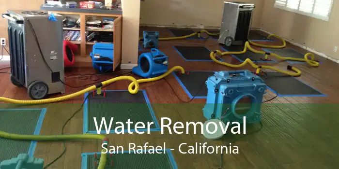 Water Removal San Rafael - California