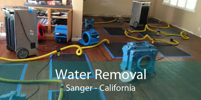 Water Removal Sanger - California