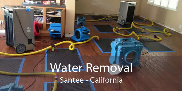 Water Removal Santee - California