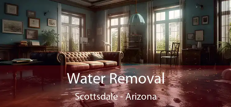 Water Removal Scottsdale - Arizona