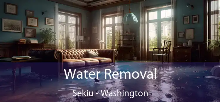 Water Removal Sekiu - Washington