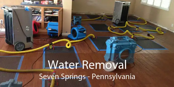 Water Removal Seven Springs - Pennsylvania