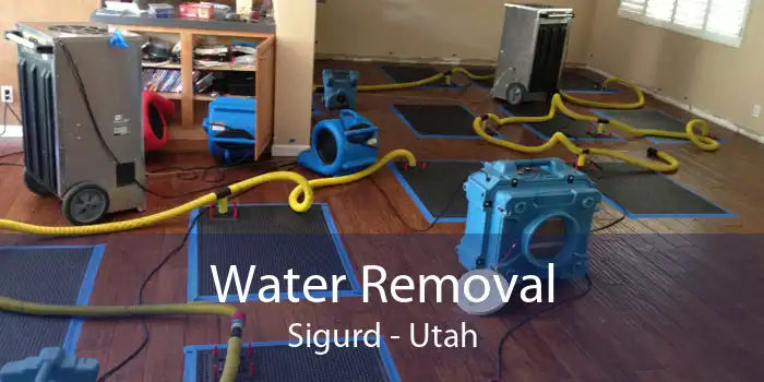 Water Removal Sigurd - Utah
