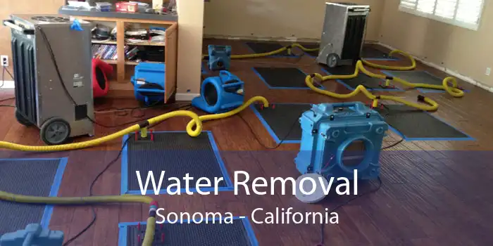 Water Removal Sonoma - California