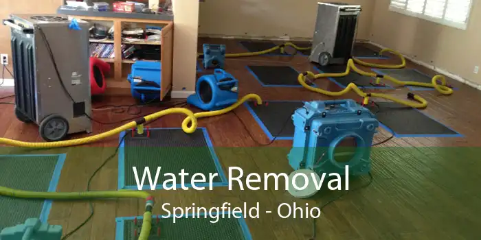 Water Removal Springfield - Ohio