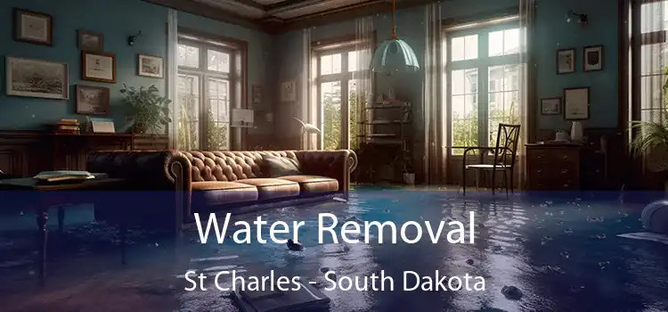 Water Removal St Charles - South Dakota