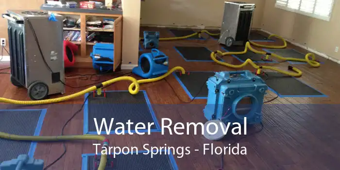 Water Removal Tarpon Springs - Florida