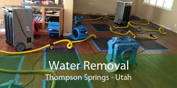 Water Removal Thompson Springs - Utah