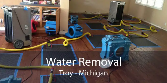 Water Removal Troy - Michigan