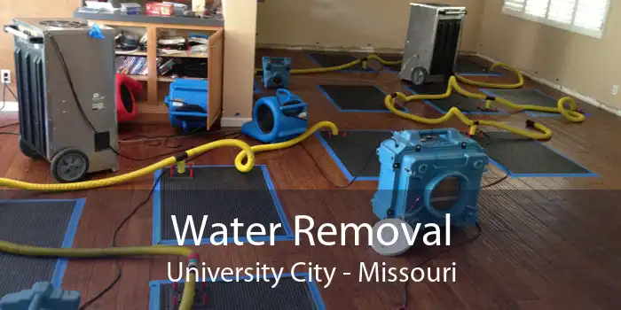 Water Removal University City - Missouri