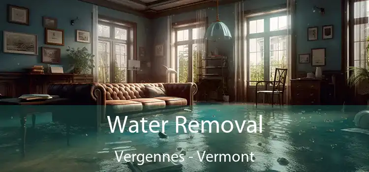 Water Removal Vergennes - Vermont