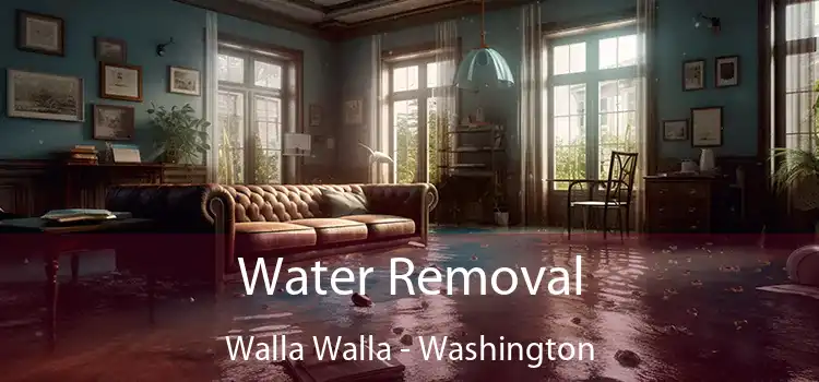 Water Removal Walla Walla - Washington