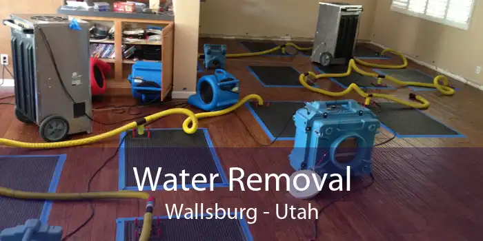 Water Removal Wallsburg - Utah