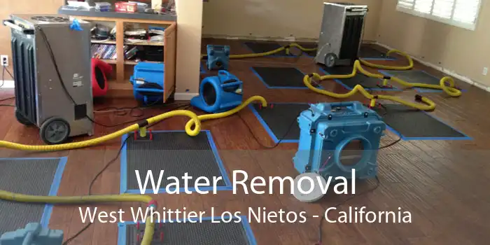 Water Removal West Whittier Los Nietos - California