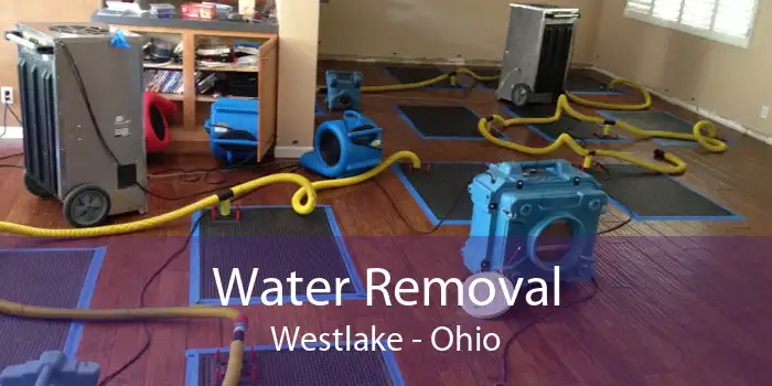 Water Removal Westlake - Ohio