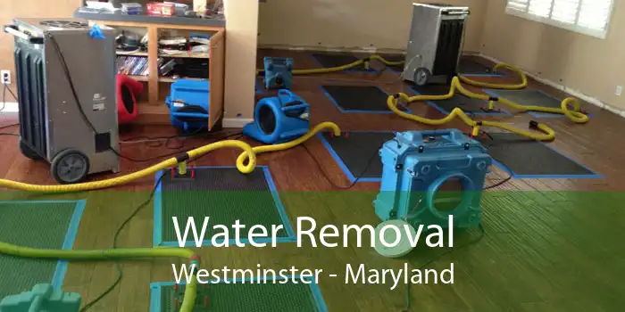 Water Removal Westminster - Maryland