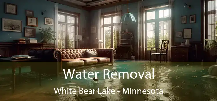 Water Removal White Bear Lake - Minnesota