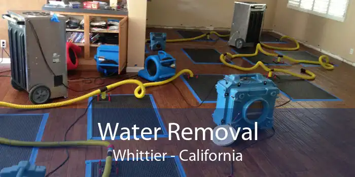 Water Removal Whittier - California