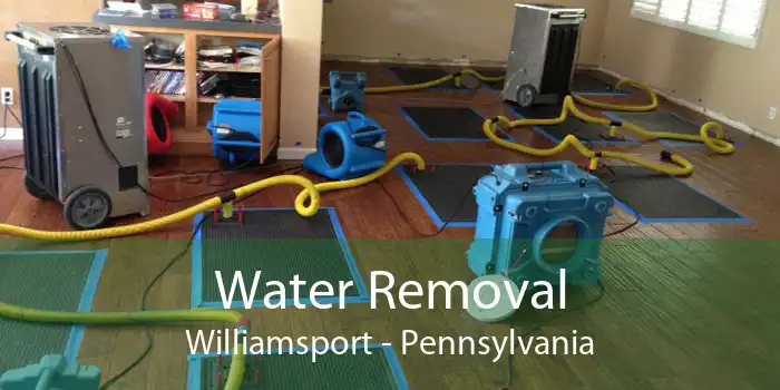 Water Removal Williamsport - Pennsylvania