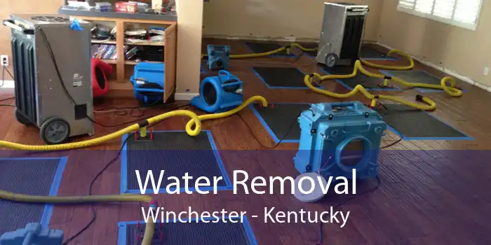 Water Removal Winchester - Kentucky