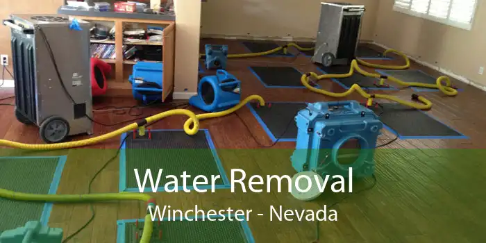 Water Removal Winchester - Nevada