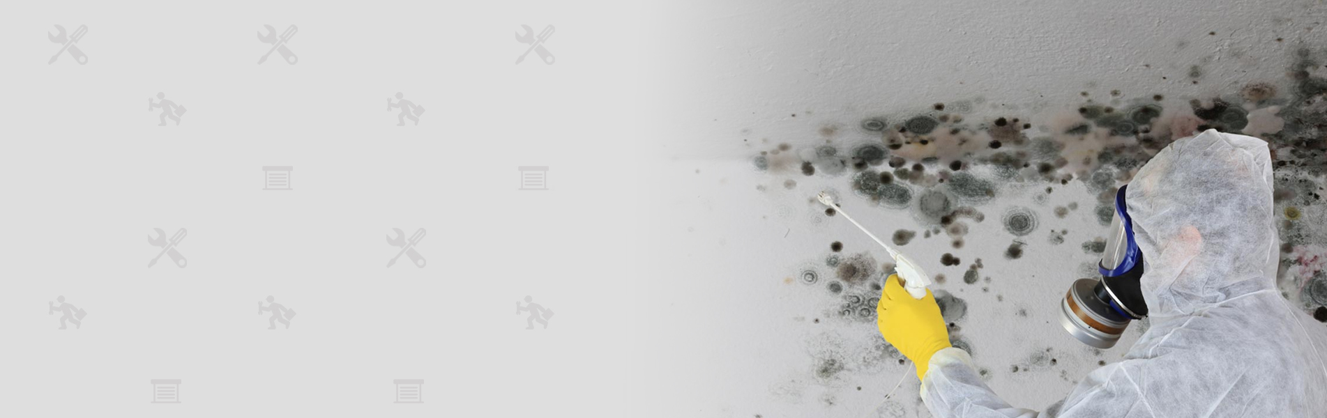 TOP 10 BEST Black Mold Removal in Lawrence, MA - Yelp