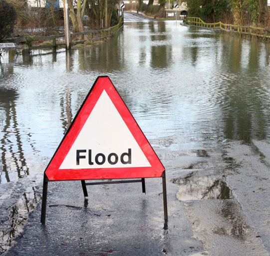 Water Damage Restoration Near Me Charleston