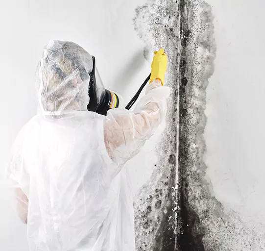 Mold Cleanup Fort Worth